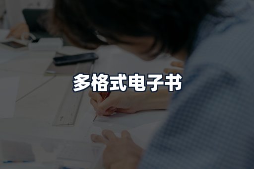 多格式电子书